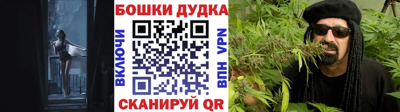Купить наркотики цена Снежногорск COCAIN  СК  Бошки Шишки  Гашиш 