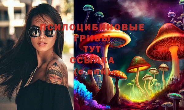 jwh Инсар