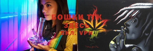 кристаллы Инта
