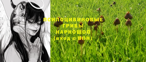 jwh Инсар