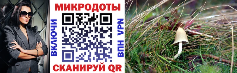 Псилоцибиновые грибы мухоморы  omg ссылки  Снежногорск 
