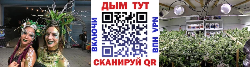 Шишки марихуана White Widow Снежногорск